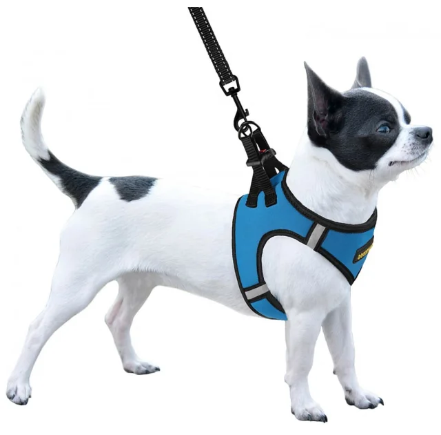 Шлея BronzeDog Sport Vest для собак из нейлона, неопрена и 3D сетки, голубой, 43-53 см