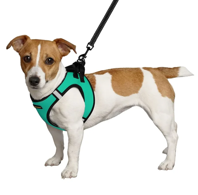Шлея BronzeDog Sport Vest для собак из нейлона, неопрена и 3D сетки, ментоловый, 43-53 см