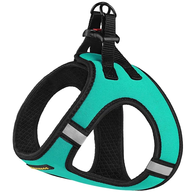Шлея BronzeDog Sport Vest для собак из нейлона, неопрена и 3D сетки, ментоловый, 34-42 см