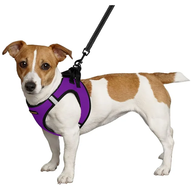 Шлея BronzeDog Sport Vest для собак из нейлона, неопрена и 3D сетки, фиолетовый, 29-34 см