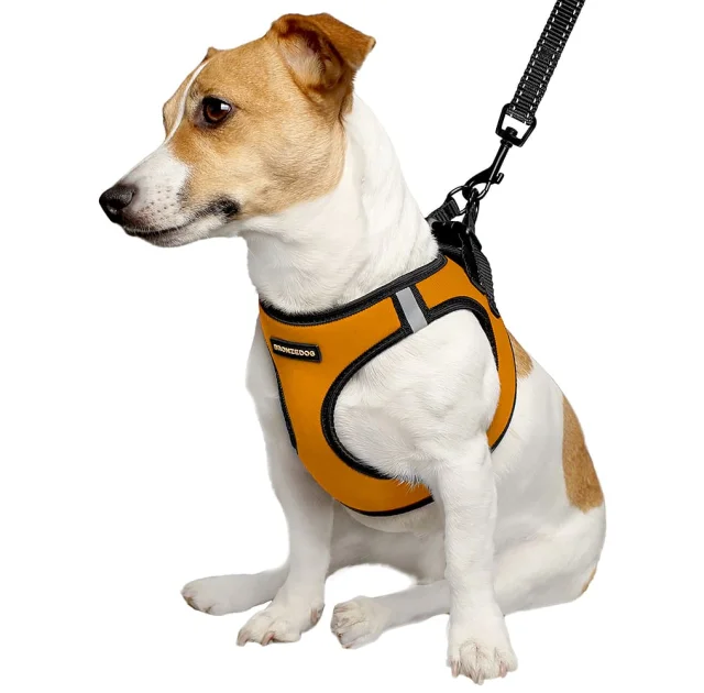 Шлея BronzeDog Sport Vest для собак из нейлона, неопрена и 3D сетки, оранжевый, 24-26 см