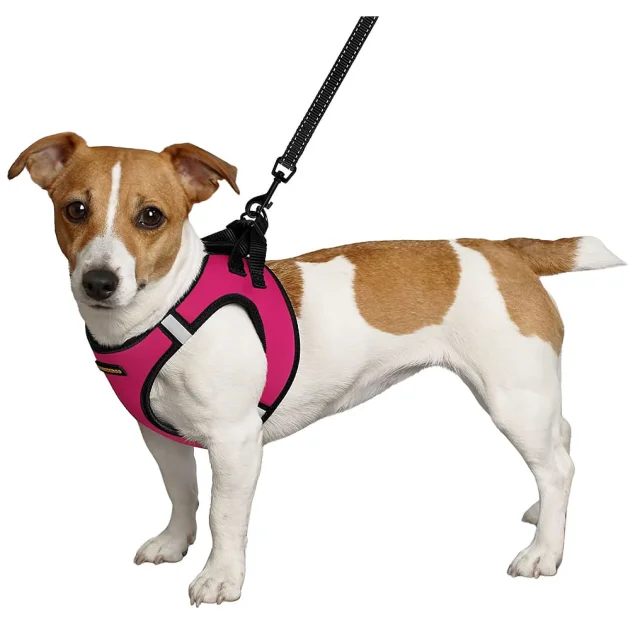 Шлея BronzeDog Sport Vest для собак из нейлона, неопрена и 3D сетки, розовый, 42-47 см