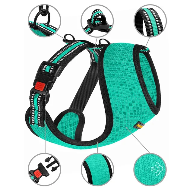 Шлея BronzeDog Mesh для собак мелких пород, сетчатый нейлон, ментоловый, 35-38 см