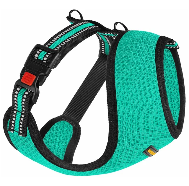 Шлея BronzeDog Mesh для собак мелких пород, сетчатый нейлон, ментоловый, 35-38 см