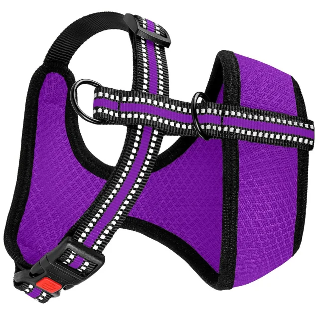 Шлея BronzeDog Mesh для собак мелких пород, сетчатый нейлон, фиолетовый, 35-38 см