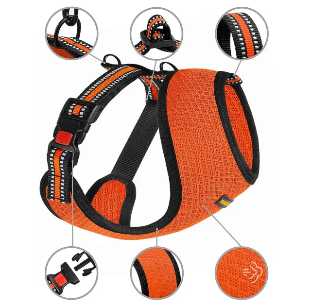 Шлея BronzeDog Mesh для собак мелких пород, сетчатый нейлон, оранжевый, 40-46 см