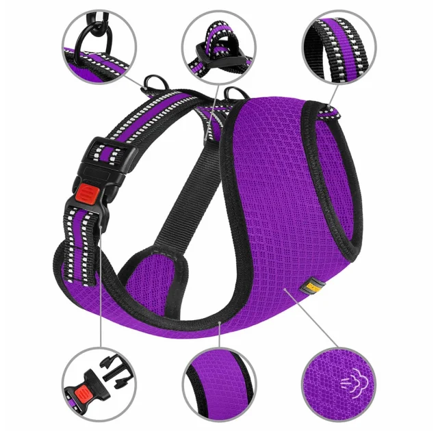 Шлея BronzeDog Mesh для собак мелких пород, сетчатый нейлон, фиолетовый, 40-46 см
