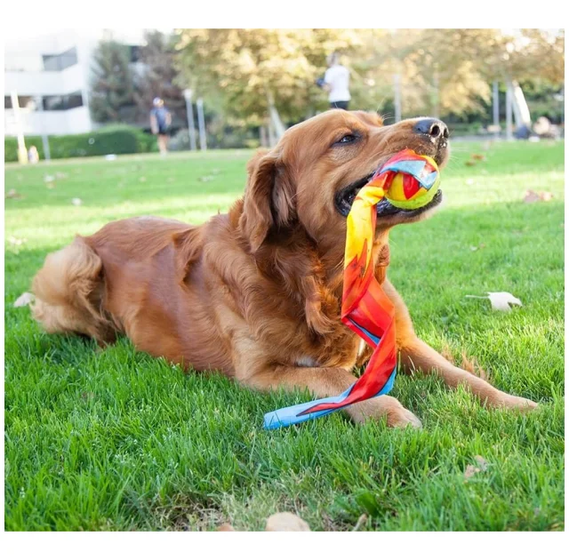 Игрушка для собак Outward Hound Comet Fetch Ball Мяч-комета, большая, 27×13×6.35 см