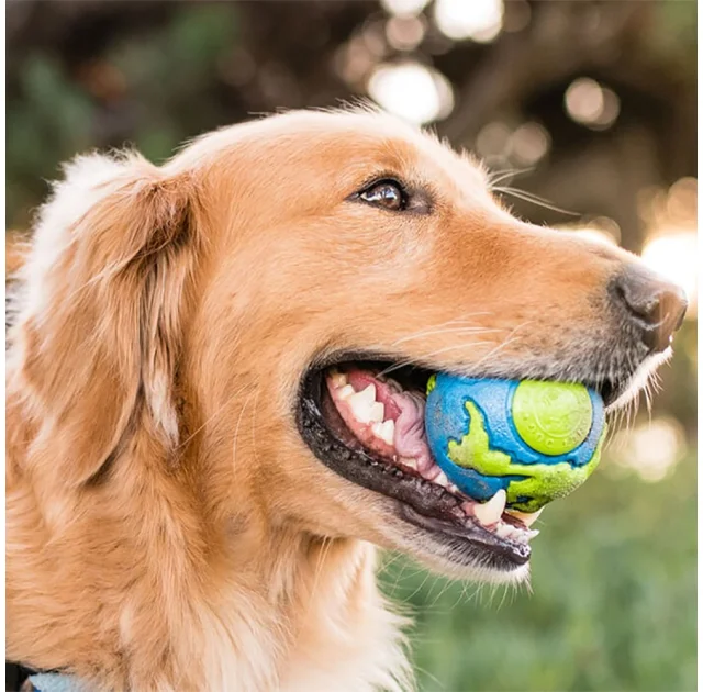 Іграшка для собак Planet Dog Orbee Ball м'яч великий, блакитно-зелений, 10 см