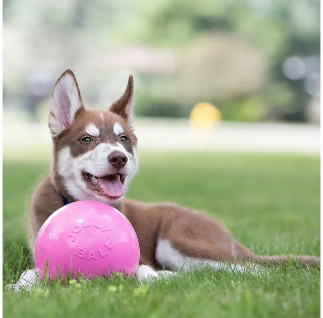 Игрушка Jolly Pets Bounce-n-Play мяч большой, для собак от 27 кг, розовый, 18 см