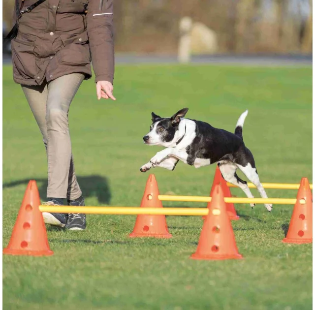 Набор препятствий Trixie Dog Activity для собак, пластик, оранжевый и жёлтый, 78 см, 23×30 см
