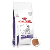 Сухой корм Royal Canin Dental Medium & Large Dogs для взрослых собак средних и больших пород, 6 кг