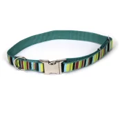 Нашийник Coastal Pet Attire Ribbon для собак, нейлон, різнобарвний, 46-66×2.5 см
