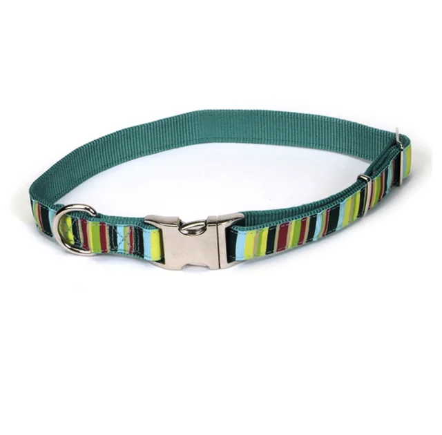 Нашийник Coastal Pet Attire Ribbon для собак, нейлон, різнобарвний, 46-66×2.5 см