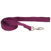 Повідець Coastal New Earth Soy Dog Leash для собак, фіолетовий, 183×1.6 см