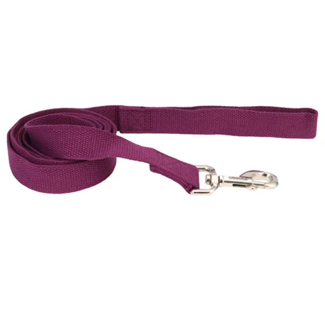 Повідець Coastal New Earth Soy Dog Leash для собак, фіолетовий, 183×1.6 см