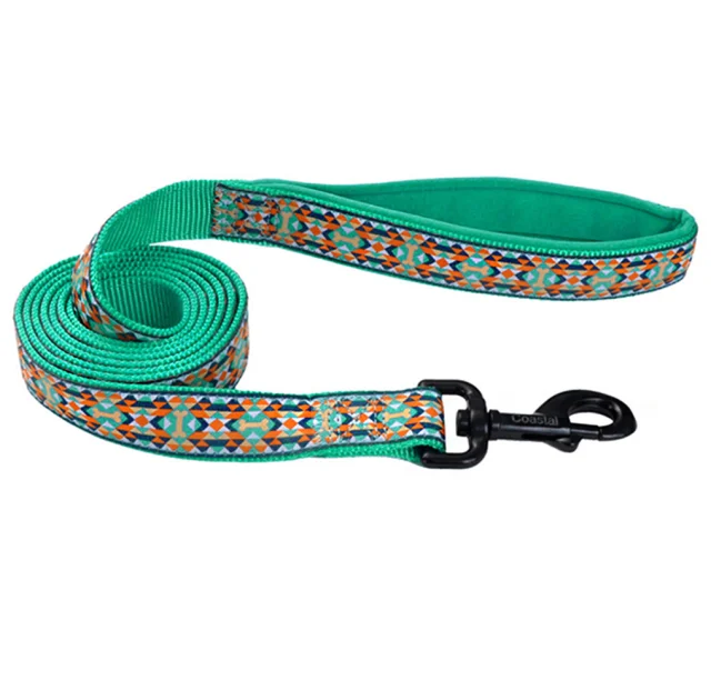 Повідець Coastal Ribbon Weave Leash для собак, темно-бірюзовий з кісточками, 160-180 см