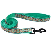 Повідець Coastal Ribbon Weave Leash для собак, темно-бірюзовий з кісточками, 180×2.5 см