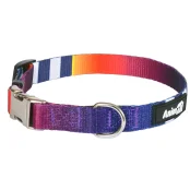 Ошейник AnimAll S-3, для собак, нейлон, 1.5×28-40 см