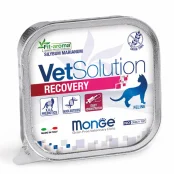 Влажный корм Monge VetSolution Recovery feline для кошек, для восстановления питания во время выздоровления, 100 г