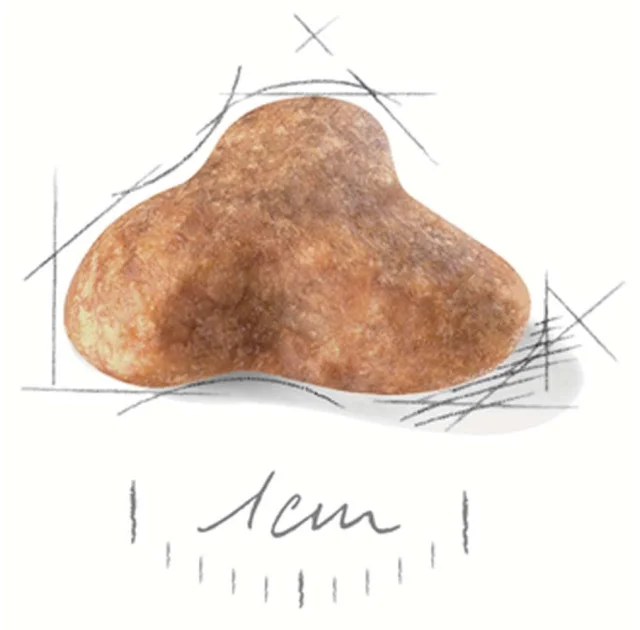 Сухий корм Royal Canin Pug Adult для мопса, 3 кг