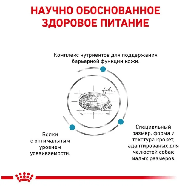 Сухой корм Royal Canin Skin Care Adult Small Dog при заболевании кожи у собак мелких пород, 2 кг