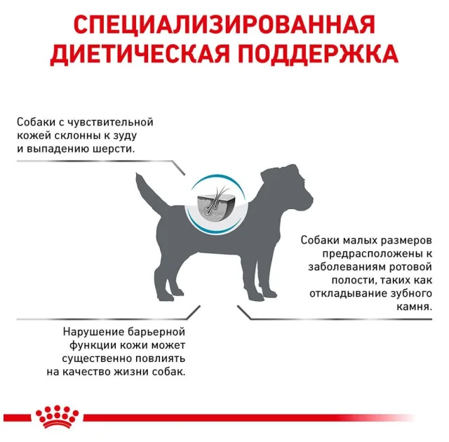 Сухой корм Royal Canin Skin Care Adult Small Dog при заболевании кожи у собак мелких пород, 2 кг