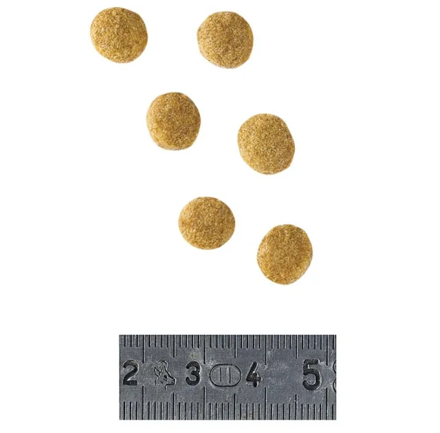 Сухий корм Royal Canin Hypoallergenic Small при харчової алергії у собак дрібних порід, 1 кг