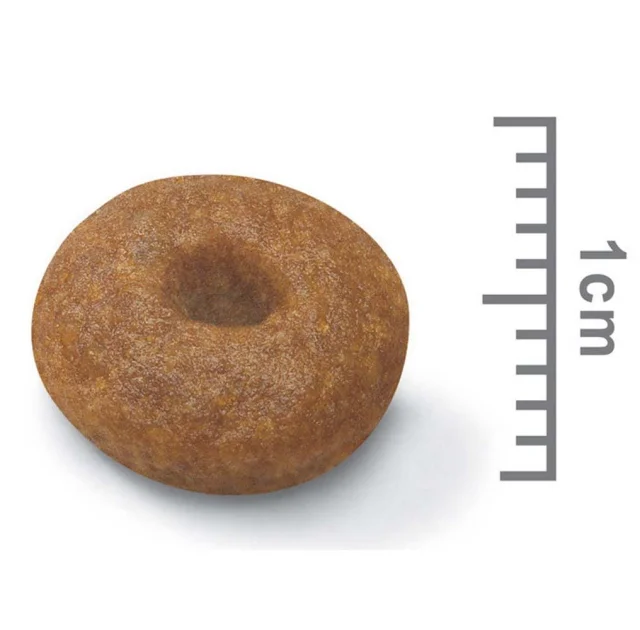 Сухой корм Royal Canin Maxi Starter для кормящих собак крупных пород, 1 кг