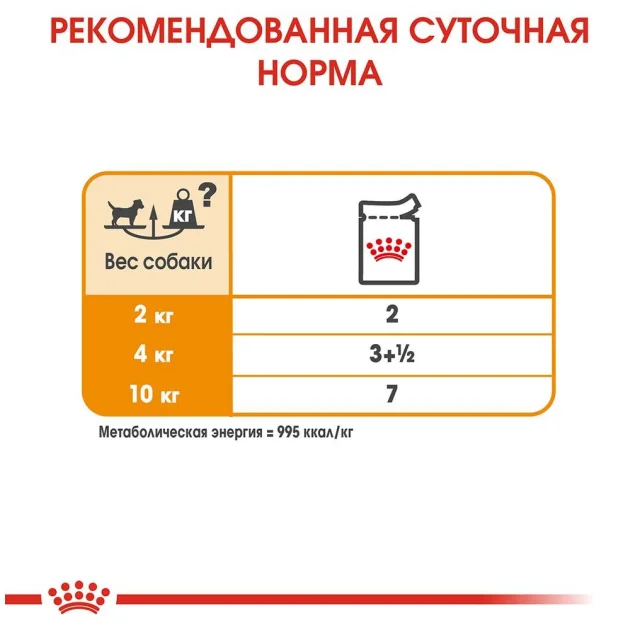 Вологий корм Royal Canin Coat Care для собак з тьмяною і сухий шерстю, паштет, 85 г