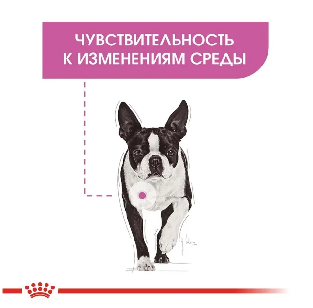 Вологий корм Royal Canin Relax Care з заспокійливою дією для собак, паштет, 85 г
