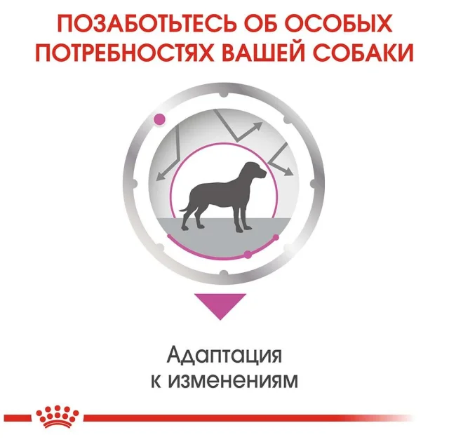 Вологий корм Royal Canin Relax Care з заспокійливою дією для собак, паштет, 85 г