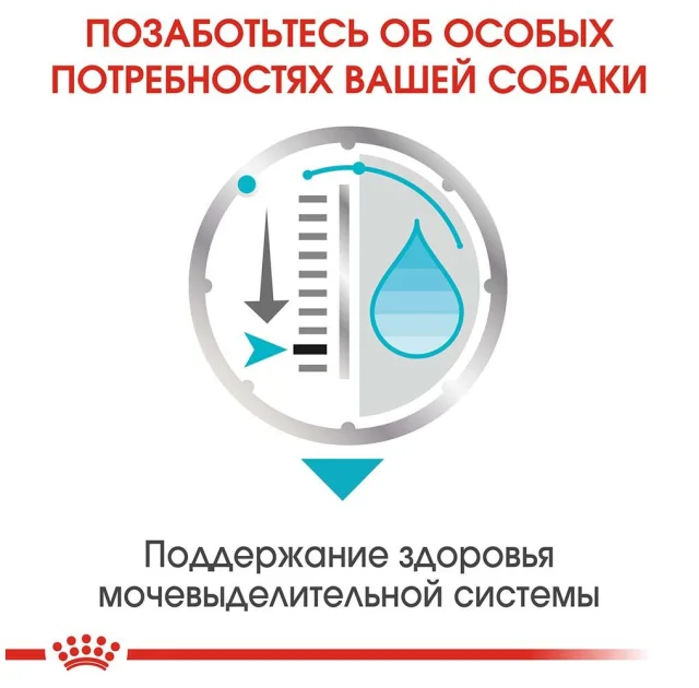 Вологий корм Royal Canin Urinary Care для собак з чутливою сечовидільної системою, паштет, 85 г