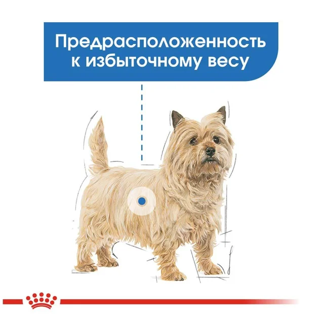 Вологий корм Royal Canin Light Weight Care для собак схильних до ожиріння, паштет, 85 г