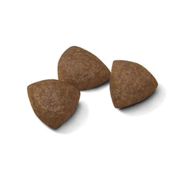 Сухий корм Royal Canin Medium Starter для годуючих собак середніх порід, 12 кг