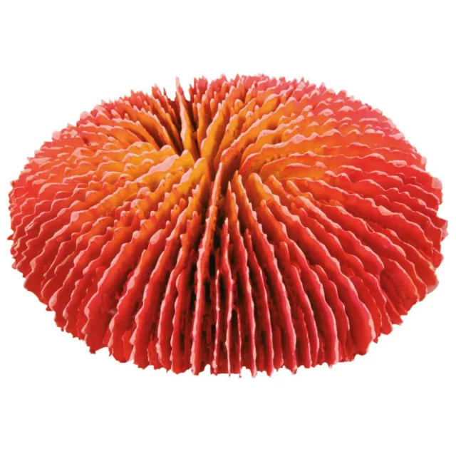 Декоративные кораллы для рыб Trixie, 4 шт