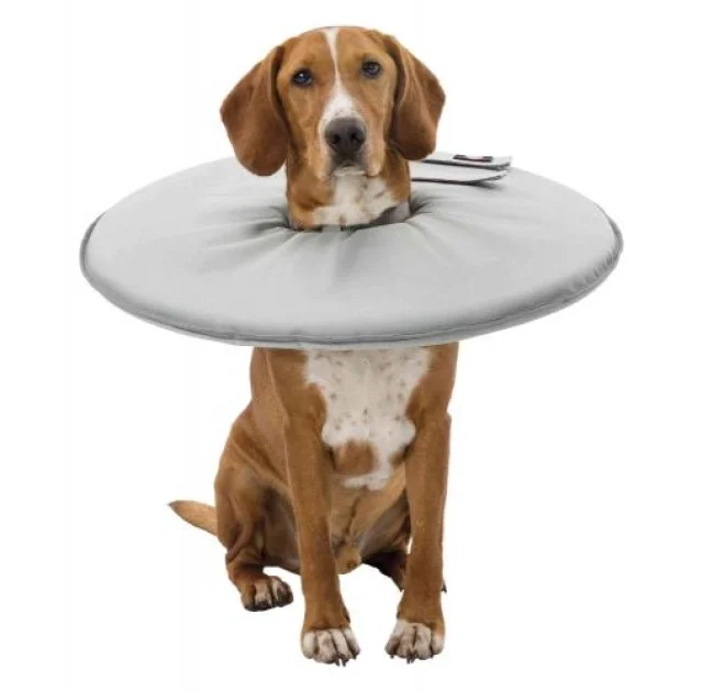 Ошейник Trixie Active, для собак, 18-21 см, 11 мм, серый