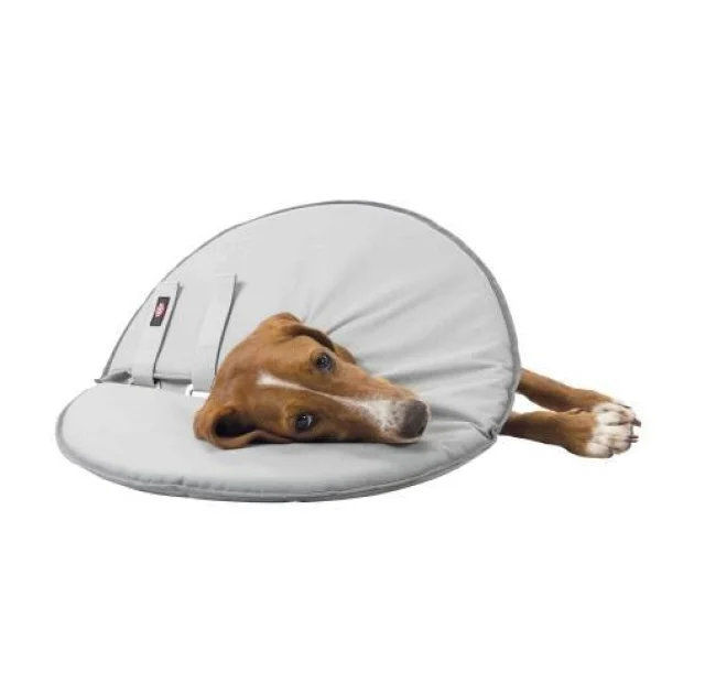 Ошейник Trixie Active, для собак, 18-21 см, 11 мм, серый