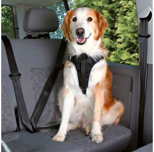Шлея в авто Trixie Dog Protect, для собак 40-55 см, 20 мм