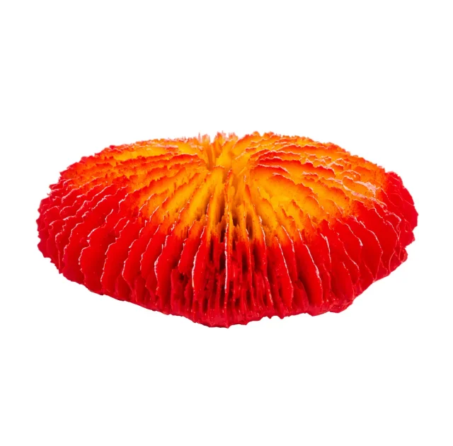 Штучний корал Blue Treasure HZY 247, 10×3×10 см