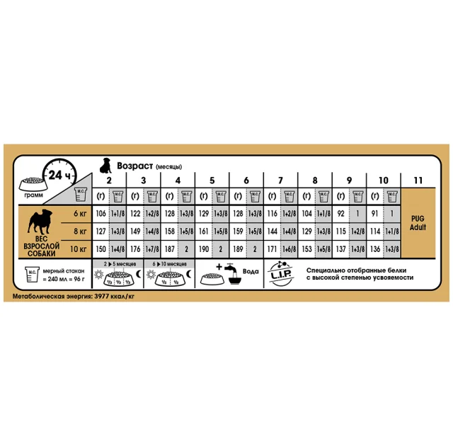 Сухий Food Royal Canin Pug Puppy для цуценят мопса до 10 місяців, 1.5 кг + контейнер у подарунок