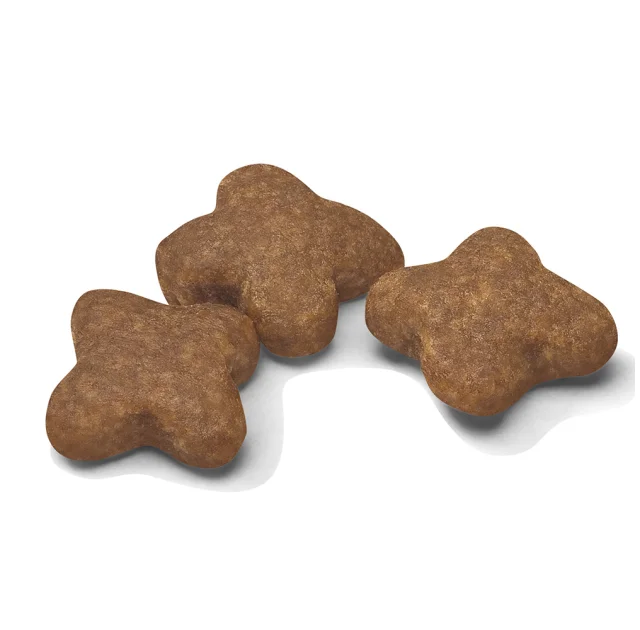 Сухий корм Royal Canin Mini Adult 8+ для собак малих порід старше 8 років, 4 кг