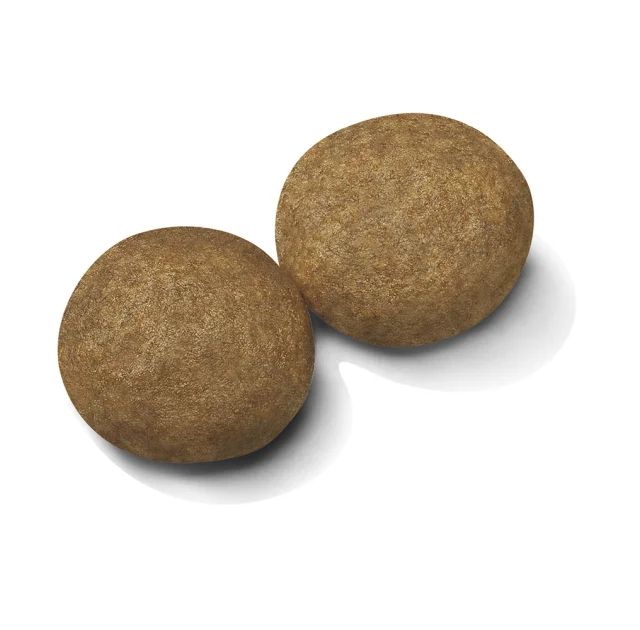 Сухий корм Royal Canin Medium Adult для собак середніх порід, 10 кг