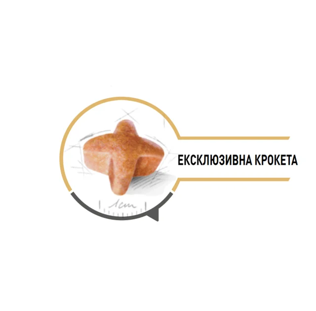 Сухий корм Royal Canin German Shepherd Adult для німецької вівчарки старше 5 років, 12 кг