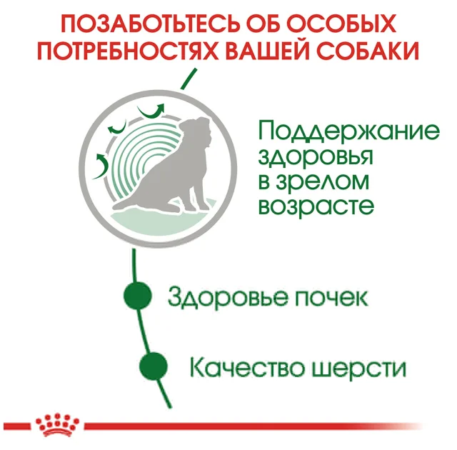 Вологий корм Royal Canin Mini Ageing 12+ для собак дрібних порід старше 12 років, шматочки в соусі, 85 г