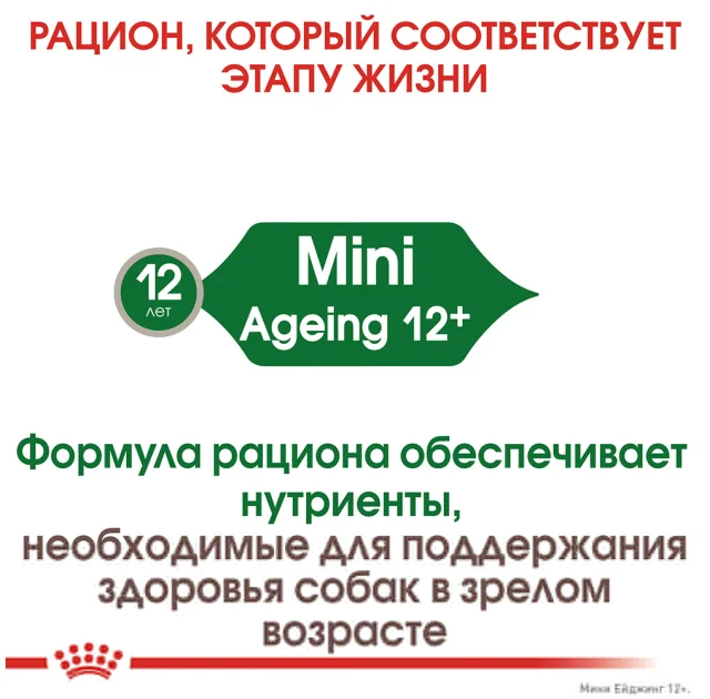 Вологий корм Royal Canin Mini Ageing 12+ для собак дрібних порід старше 12 років, шматочки в соусі, 85 г