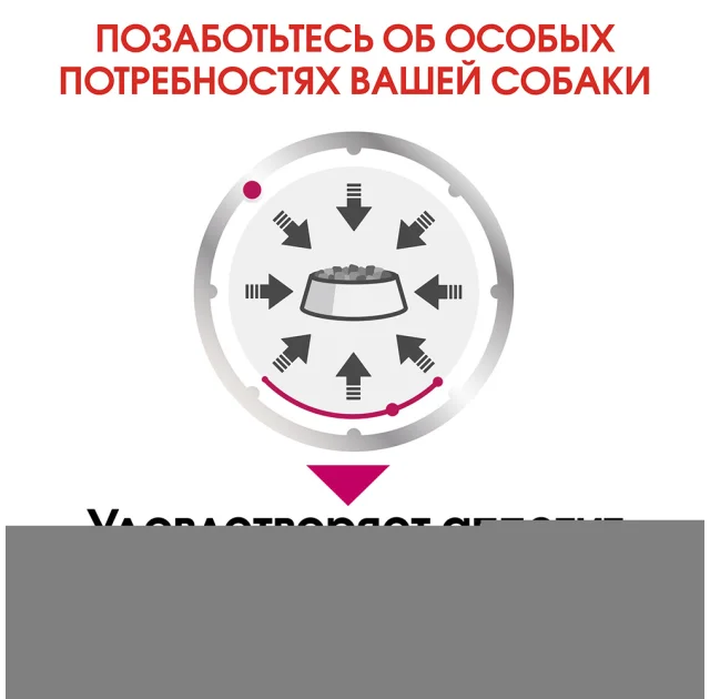 Вологий корм Royal Canin Exigent Adult паштет, для дорослих собак вибагливих у харчуванні, 85 г
