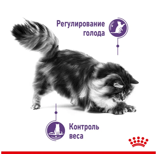 Сухий корм Royal Canin Appetite Control Care для стерилізованих котів, 3.5 кг