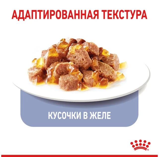 Вологий корм Royal Canin Appetite Control Care шматочки в желе, для стерилізованих котів, 85 г