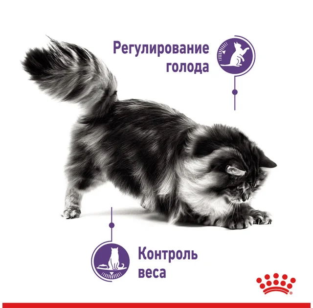 Вологий корм Royal Canin Appetite Control Care паштет, для стерилізованих котів, 85 г
